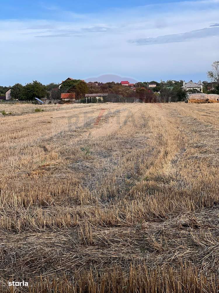 Teren intravilan de vanzare - Imagine principală: 3/3