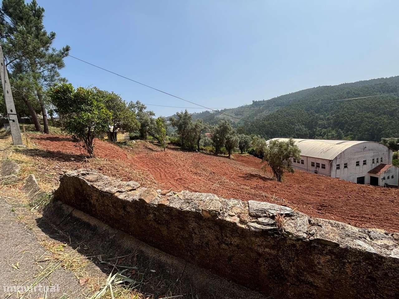 magnifico terreno nos Malheiros para 5 moradias-10