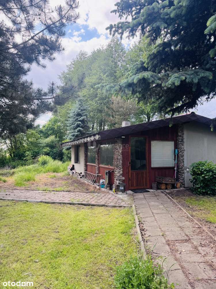 Działka rolno-budowlana 32 ary z domkiem i sadem - Pełny obrazek: 5/17