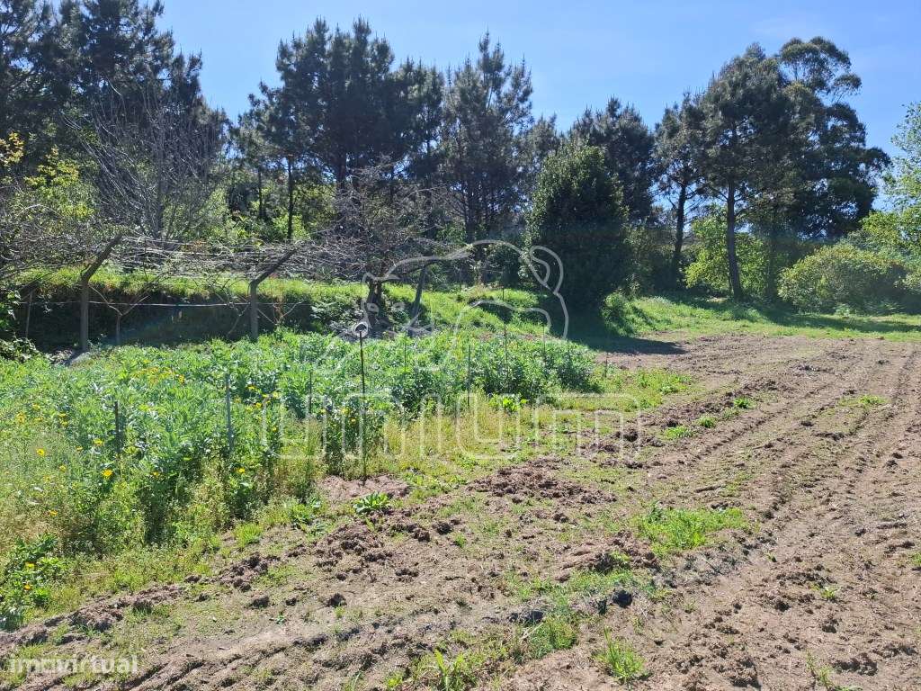 Fabuloso terreno para venda em Seixas-13