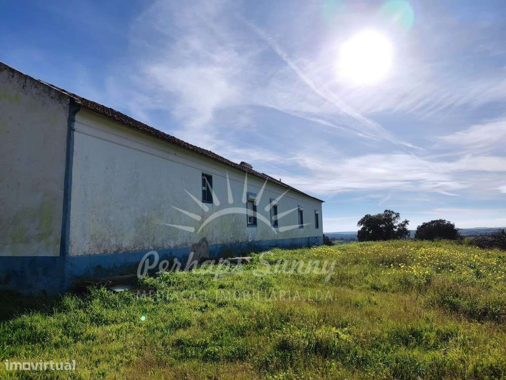 Herdade 45ha Azinheira dos Barros - Grande imagem: 5/17
