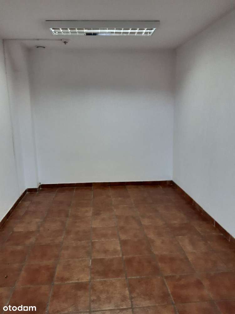 Powierzchnia biurowa do wynajęcia Oleśnica Lwowska - Pełny obrazek: 5/16