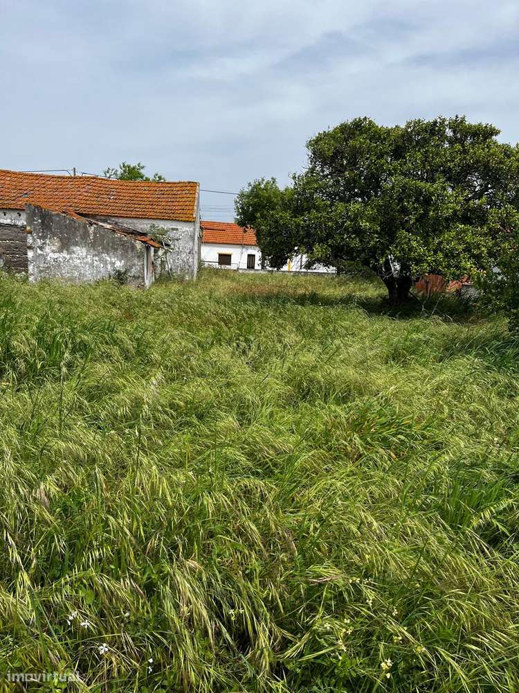 Lote Urbano 698 m2  - Almeirim - Fazendas de Almeirim-3