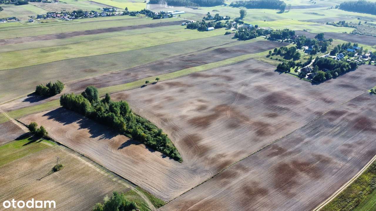 Suwałki - kompleks działek 5 km od miasta - Pełny obrazek: 5/8