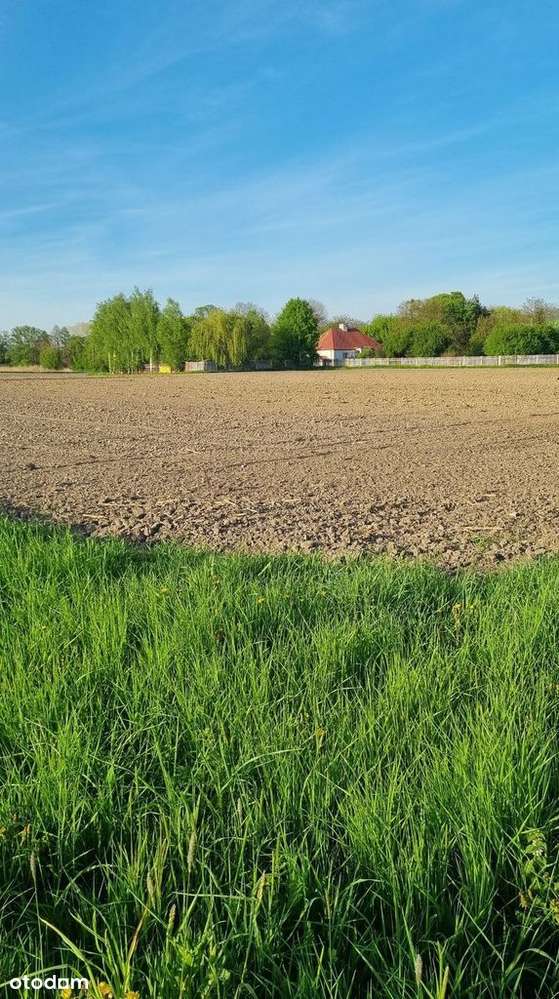 Dogodna lokalizacja, działki w Lesznie!-3