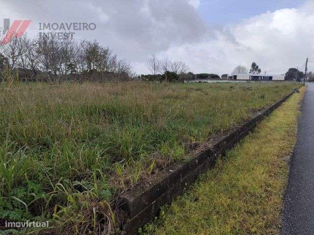 Terreno com possibilidade de construção no Vale da Marinha - Grande imagem: 2/3