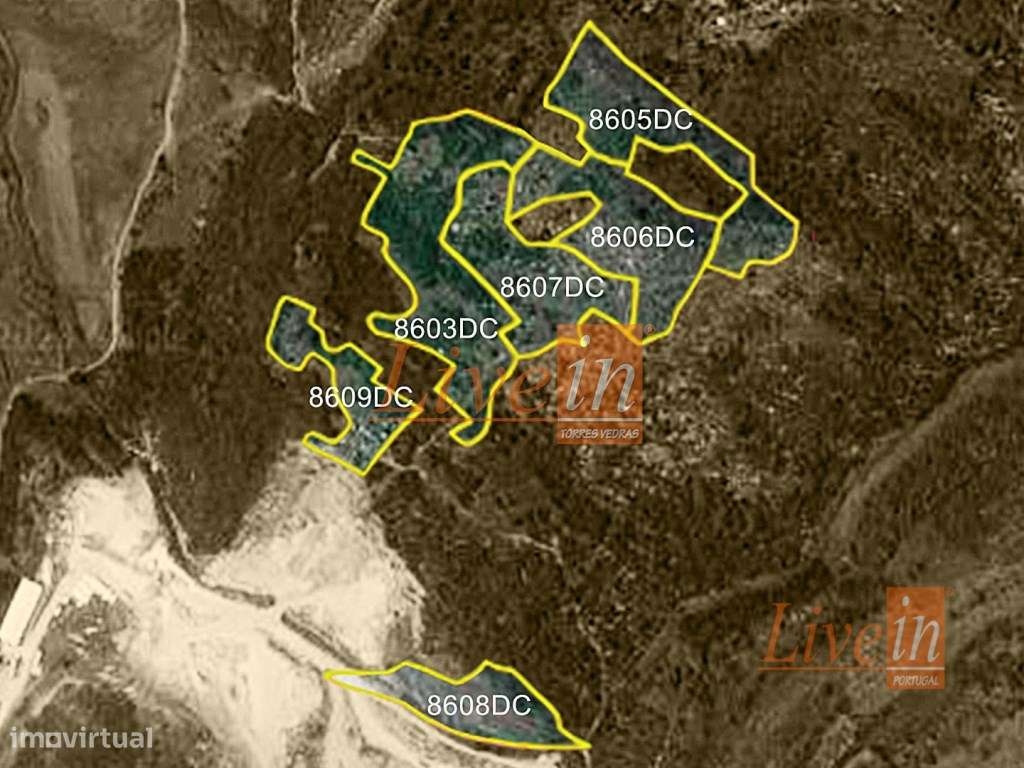 Terreno Rústico com 5920 m² na Lourinhã - Grande imagem: 4/4