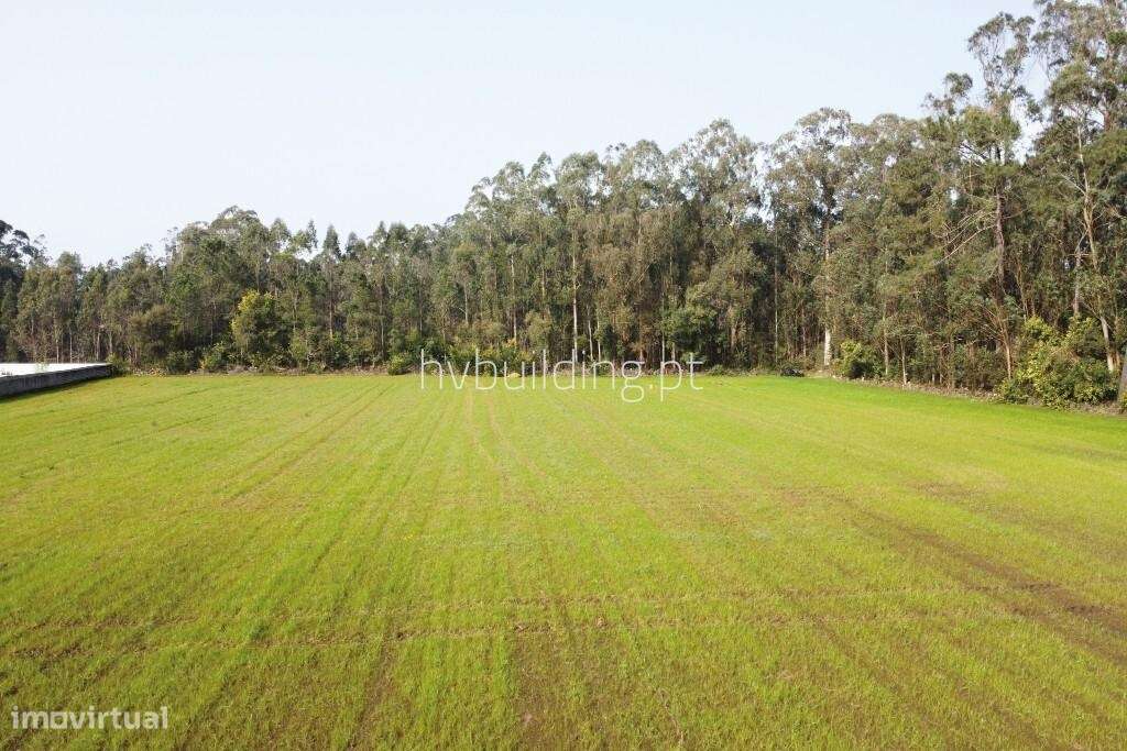Terreno para construção em Gemeses, Esposende-3