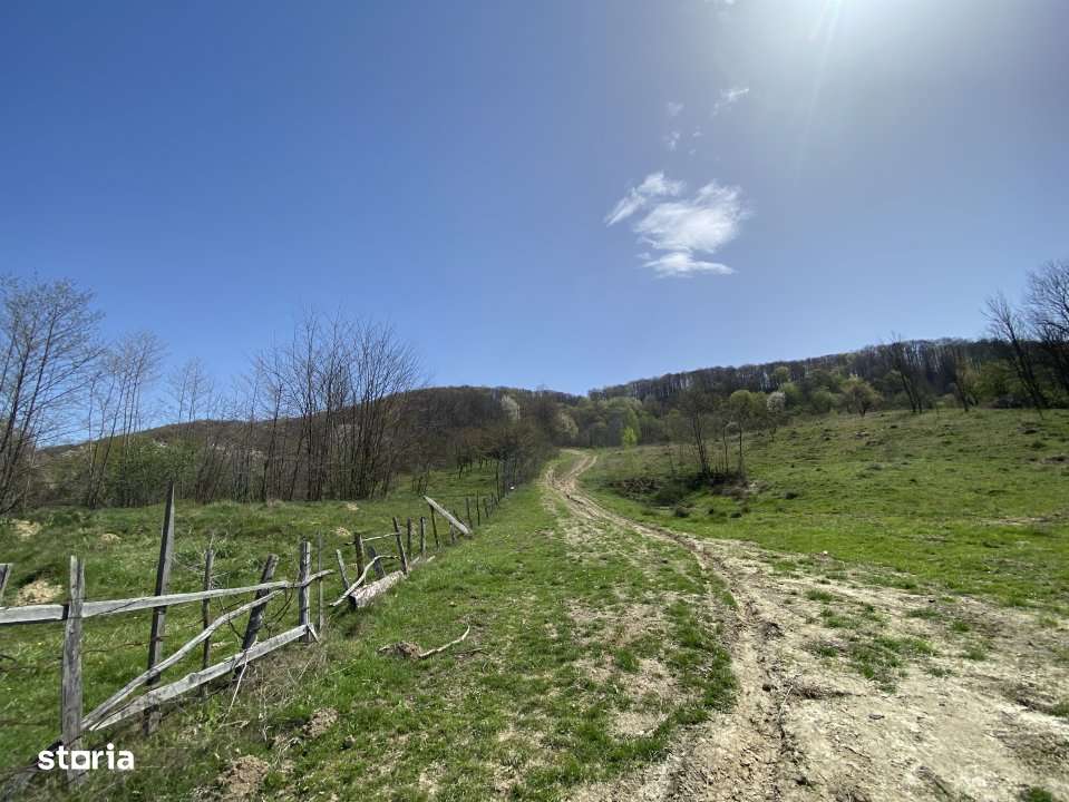 Teren 13.000 mp zona de deal - Aninoasa AG - Imagine principală: 3/6