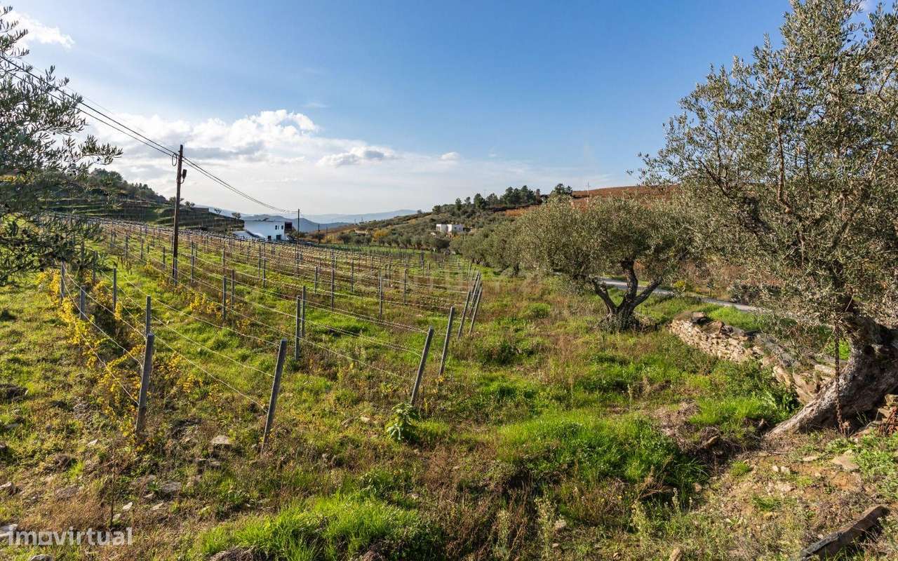 Moradia, 114 m², Barcos e Santa Leocádia-46