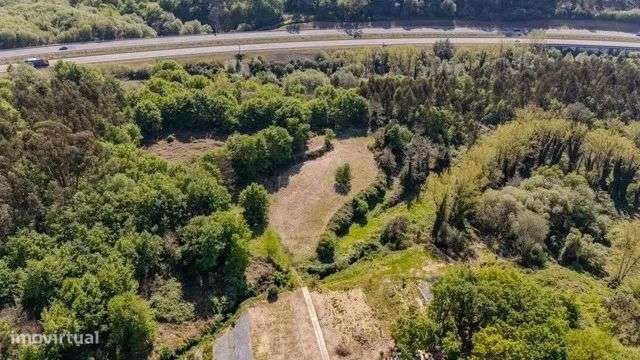 Quinta Exclusiva em Abação – Refúgio com 14.000 m²-34