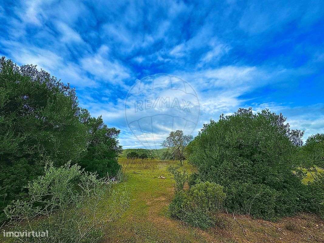 Terreno  para venda - Grande imagem: 3/5