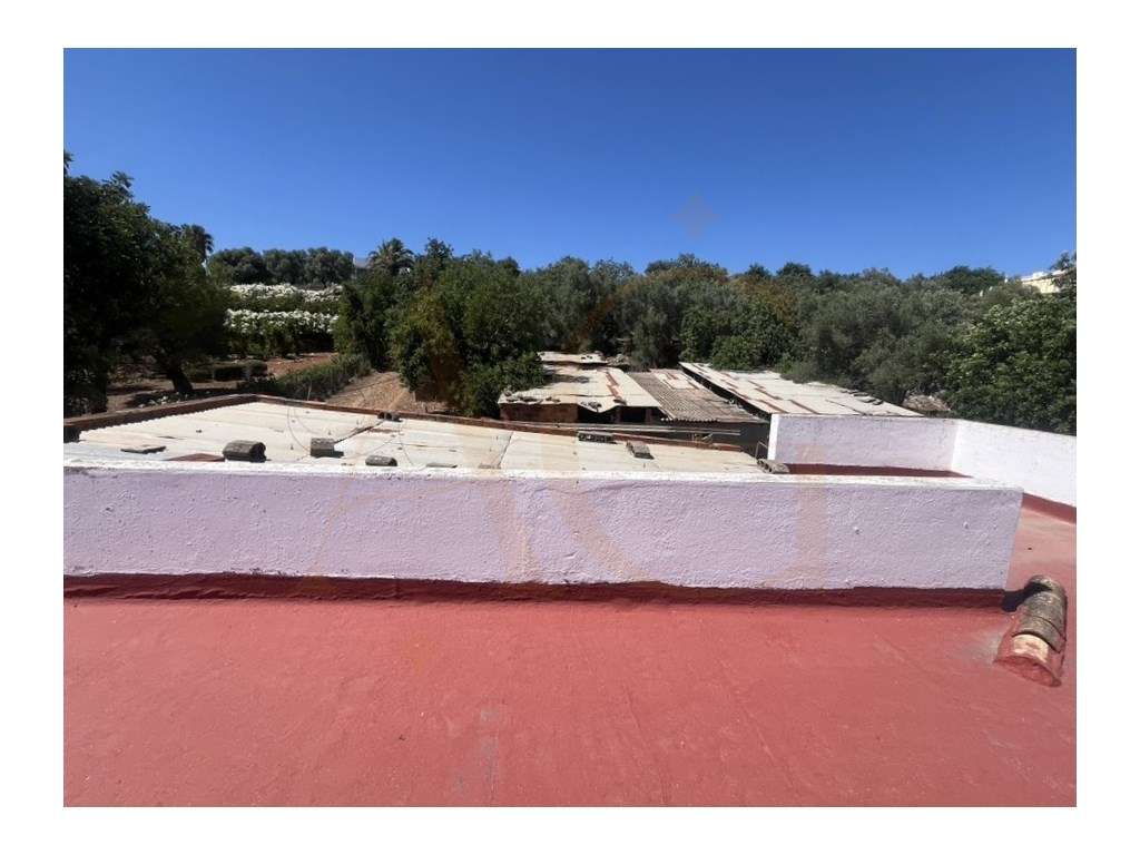Quinta com duas casas, vistas para o mar e 11.940 m² de terreno em ...-16