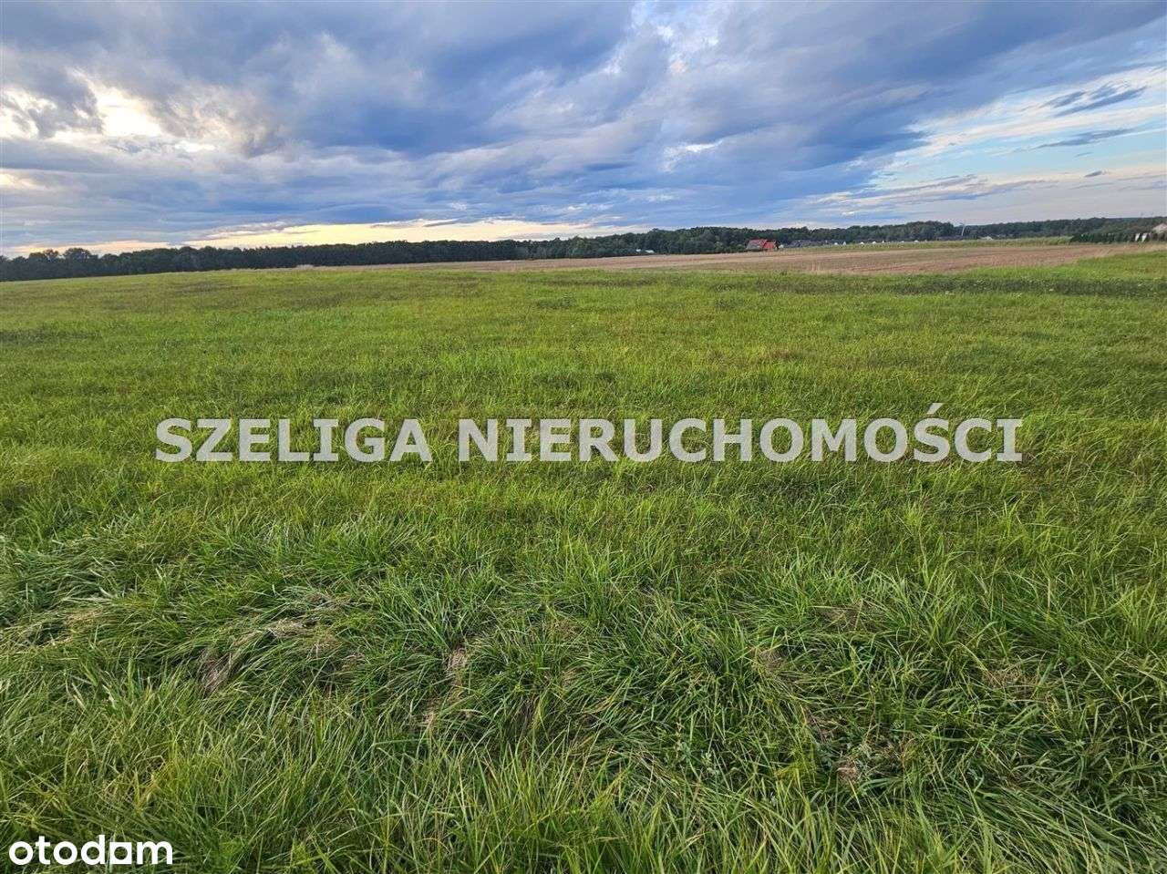 Kleszczów, Ul. Kozielska