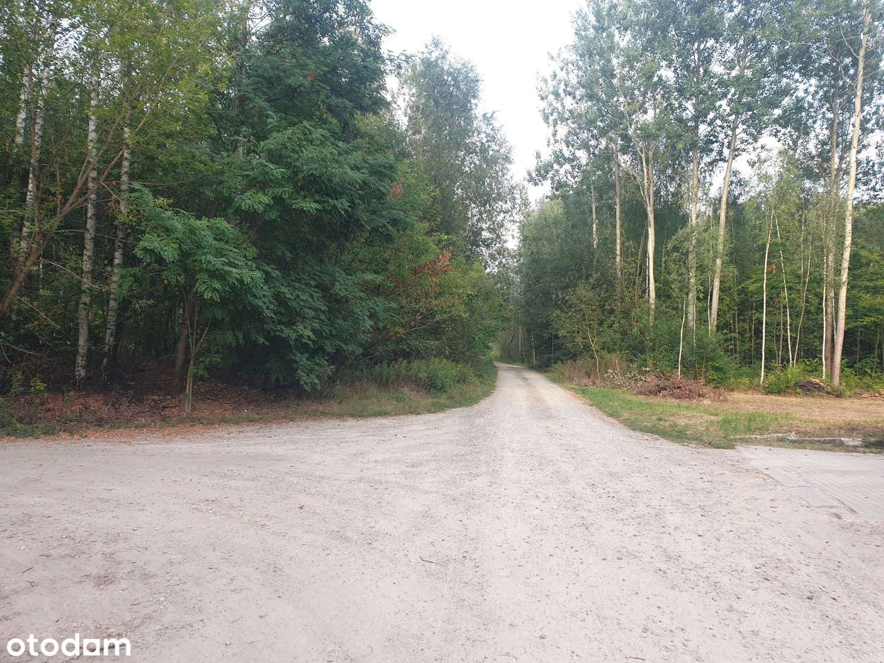 Otwock. Las, spokój, cisza. Wydane WZ. Wszystkie media. Nowe domy-14