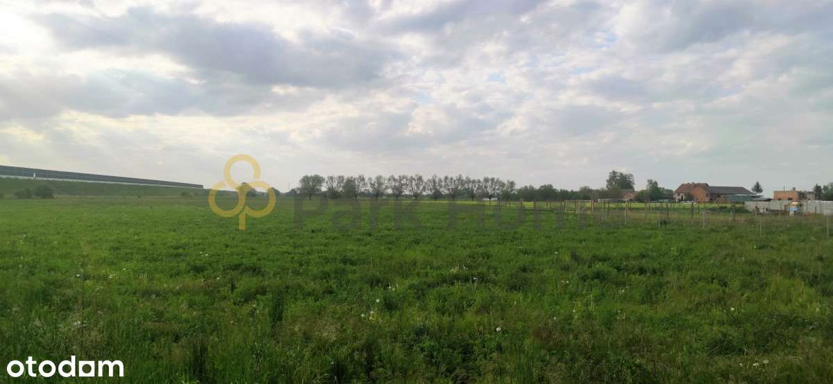 Ostanie działki budowlane  w miejscowości Folwark - Pełny obrazek: 4/6