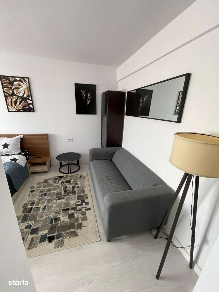 Apartament cu 1 camera Visan - Imagine principală: 5/7