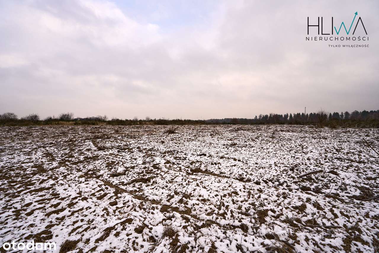 Działka zagrodowa Mierzyno gm. Gniewino 3011 m2-12