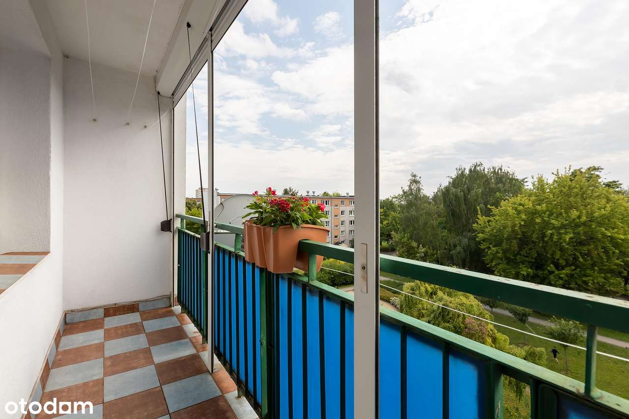 Ustawne dwa pokoje | balkon | łazienka po remoncie | piwnica-10