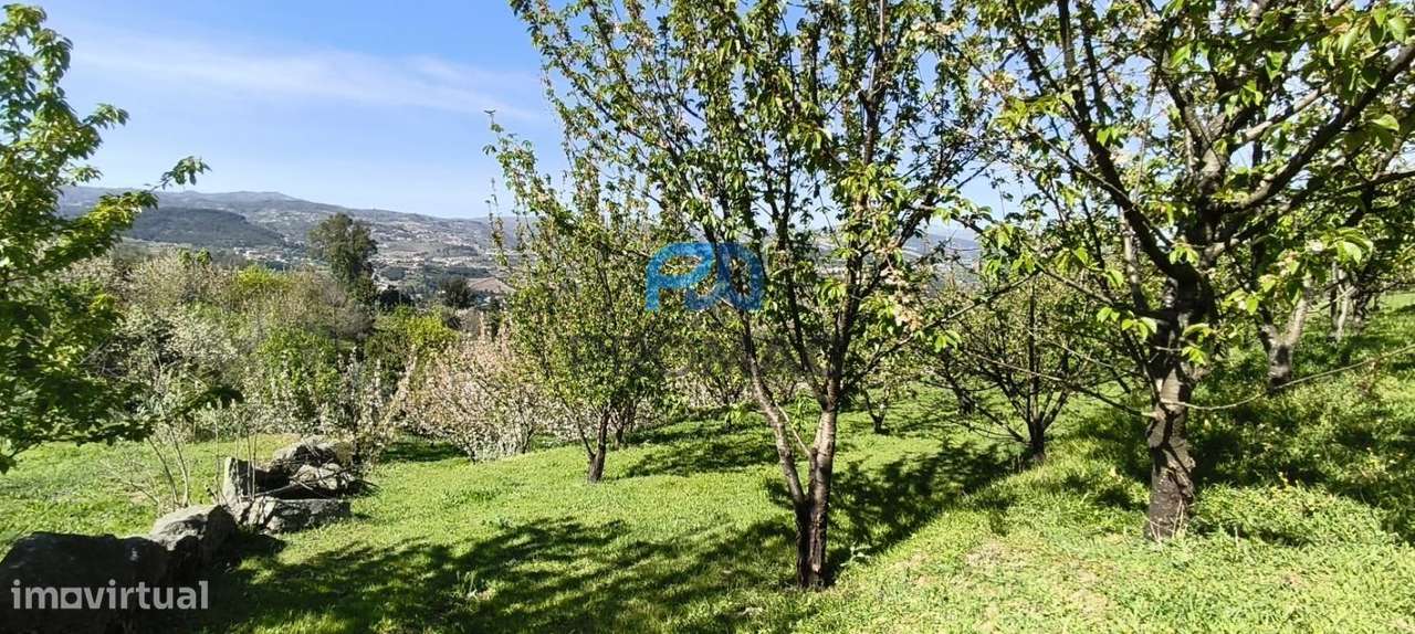 Quinta do Valado- Excelente Investimento em Resende-55