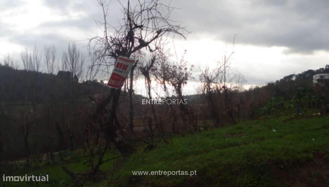 Venda Terreno, vista desafogada, Campelo, Baião - Grande imagem: 2/6