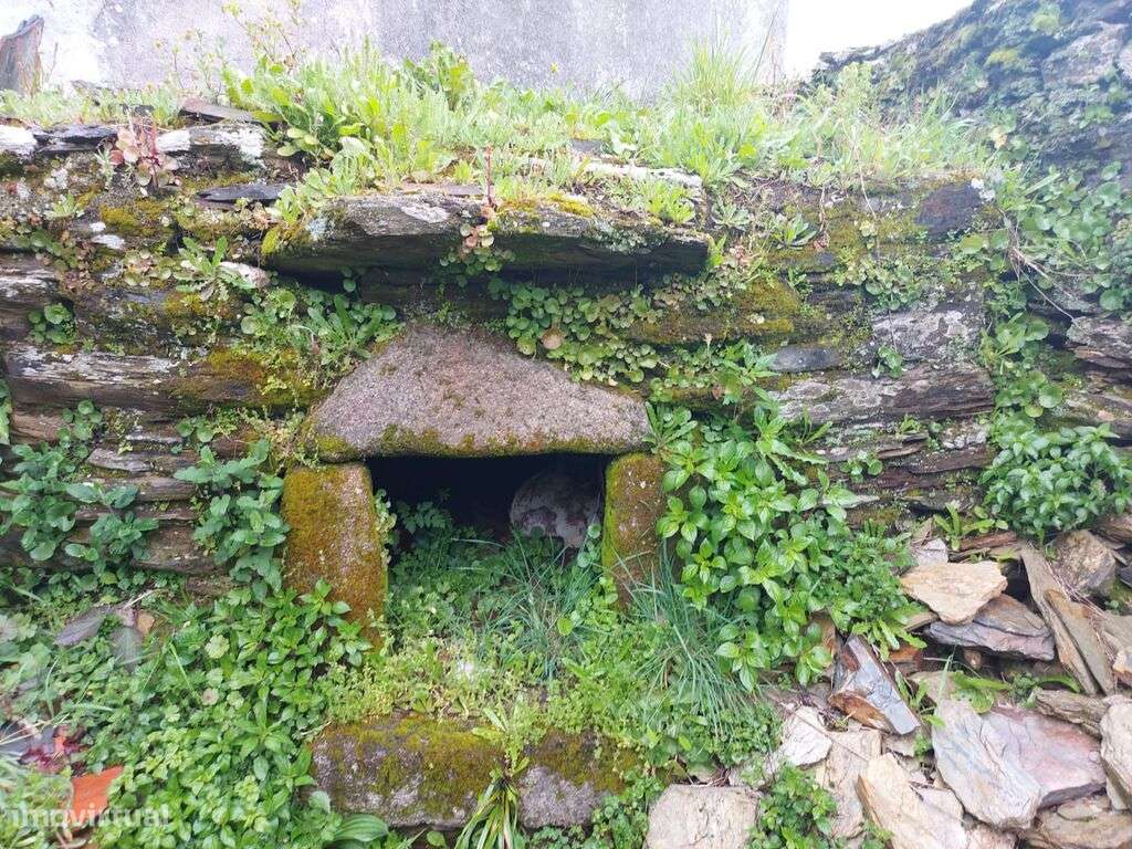 Venda Moradia - Grande imagem: 4/9