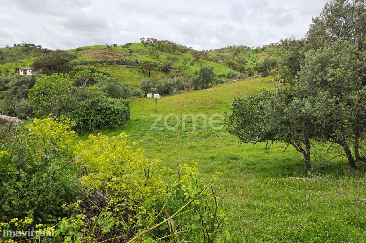 Terreno Rústico - Cultura Arvense - Grande imagem: 4/4