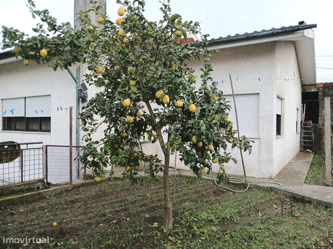 Moradia Isolada T3 com Anexos Habitáveis, Lourosa-13