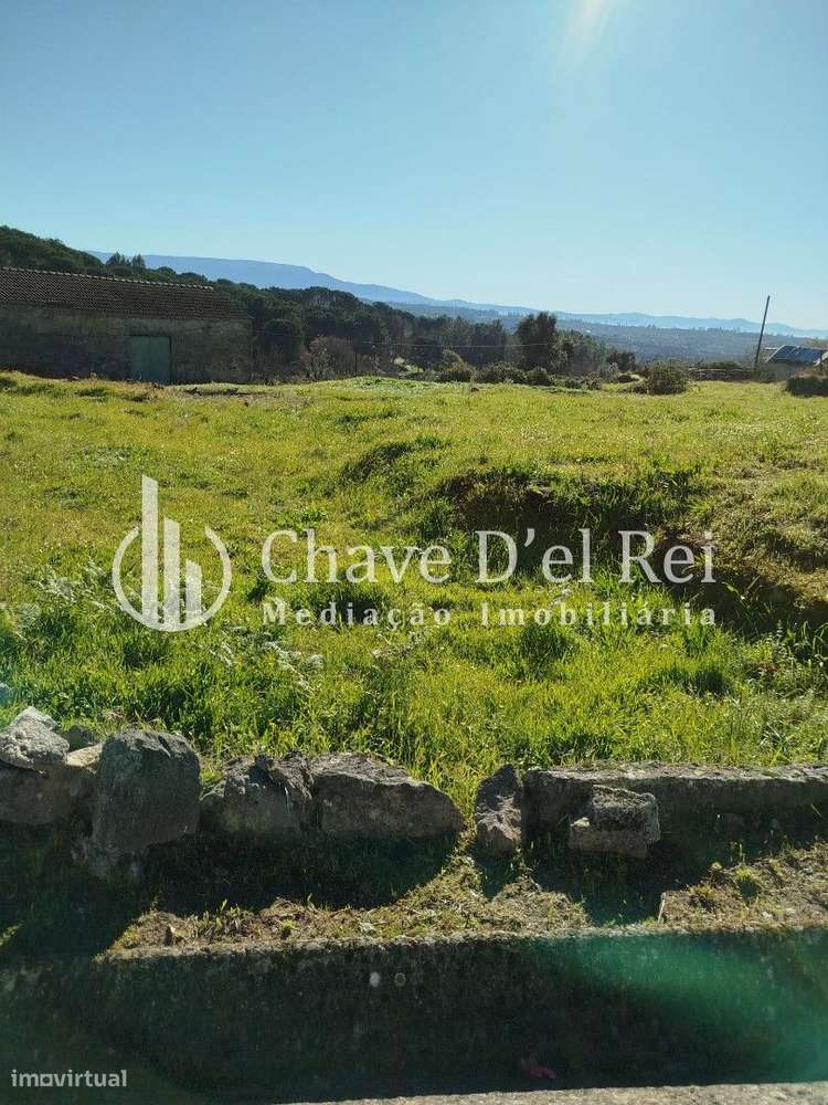 Quintinha T3 Venda em Espinho,Mangualde-29