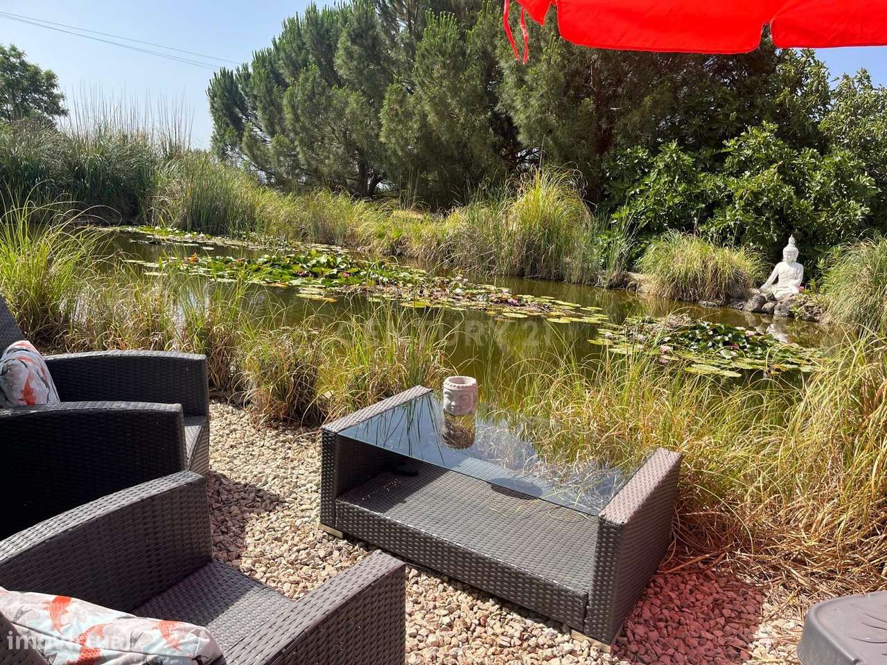 Encantadora Casa em Vala, Silves - Oportunidade Única!-5