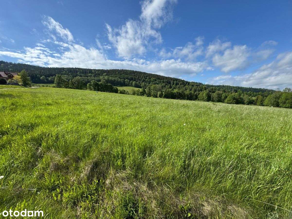 Działka budowlana Pum 5300 Stronie Śląskie-1