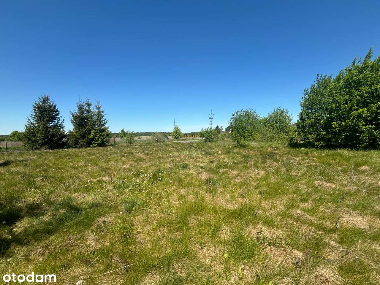 Działka, 3 148 m², Sztum - Pełny obrazek: 5/9