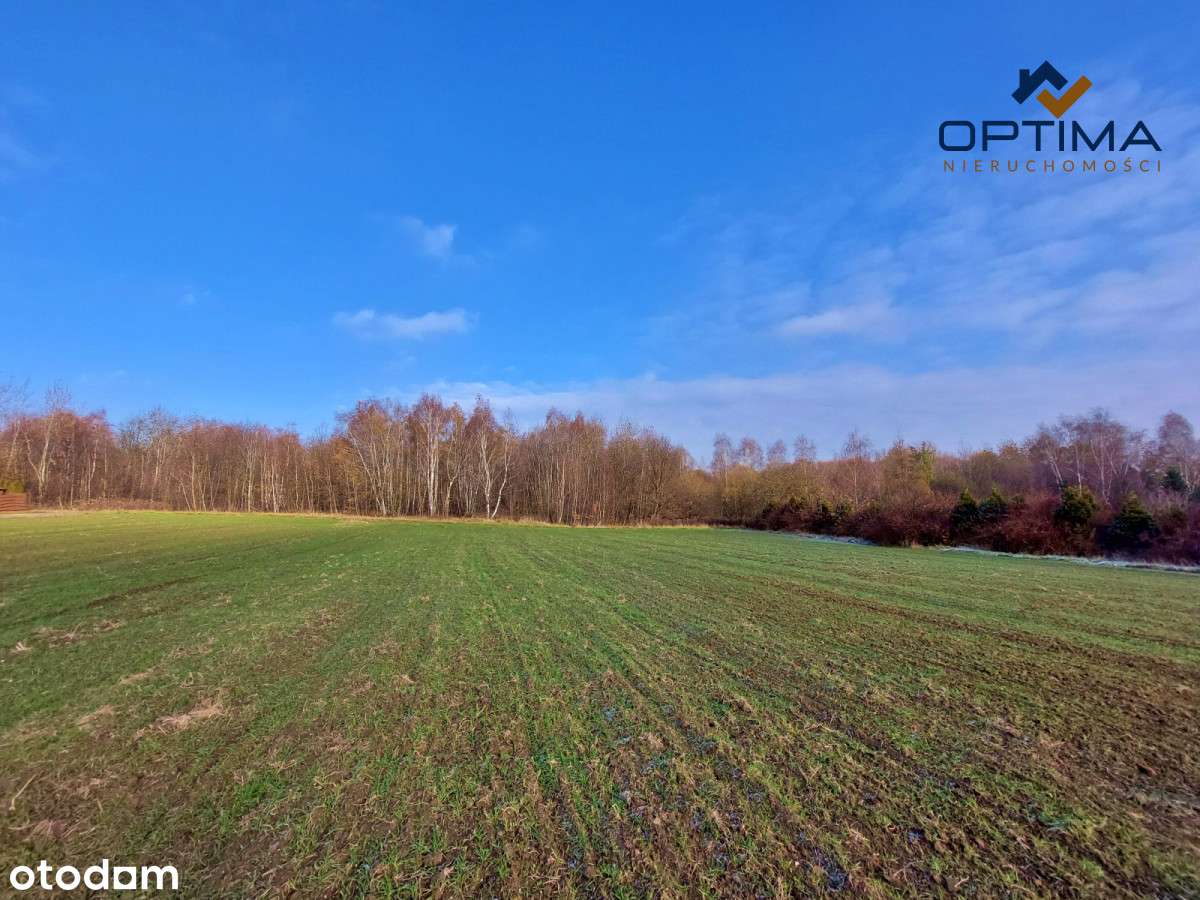 Piękna działka pod lasem - Pełny obrazek: 2/3