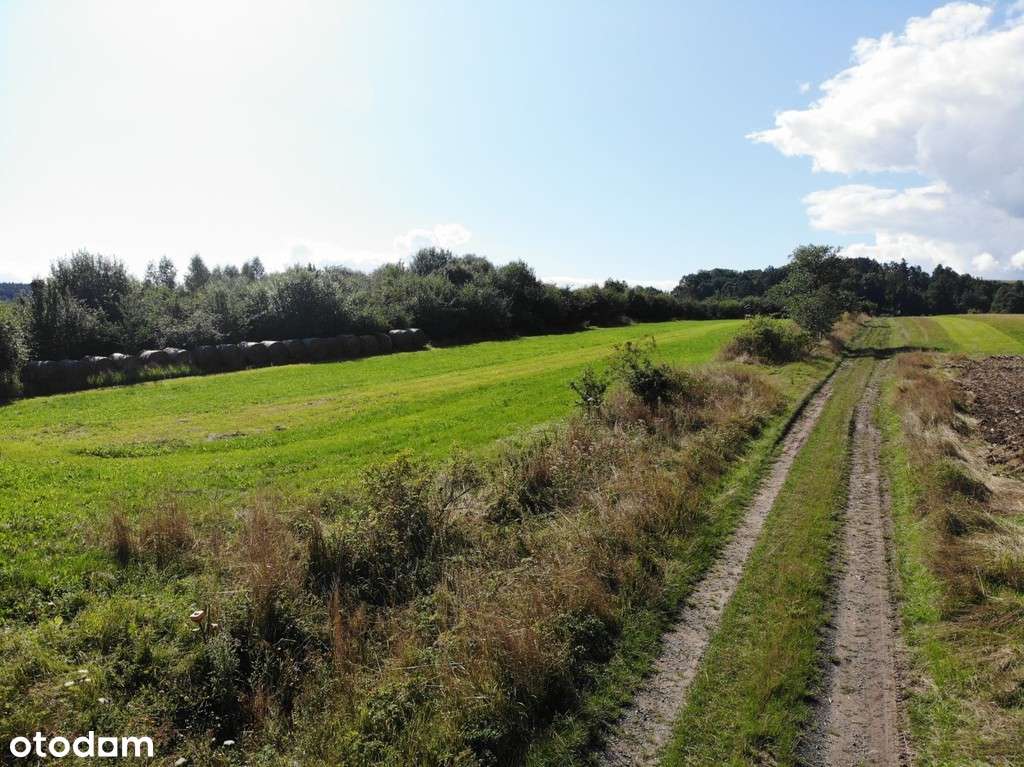 Działki budowlane Stary Wielisław koło boiska - Pełny obrazek: 5/6