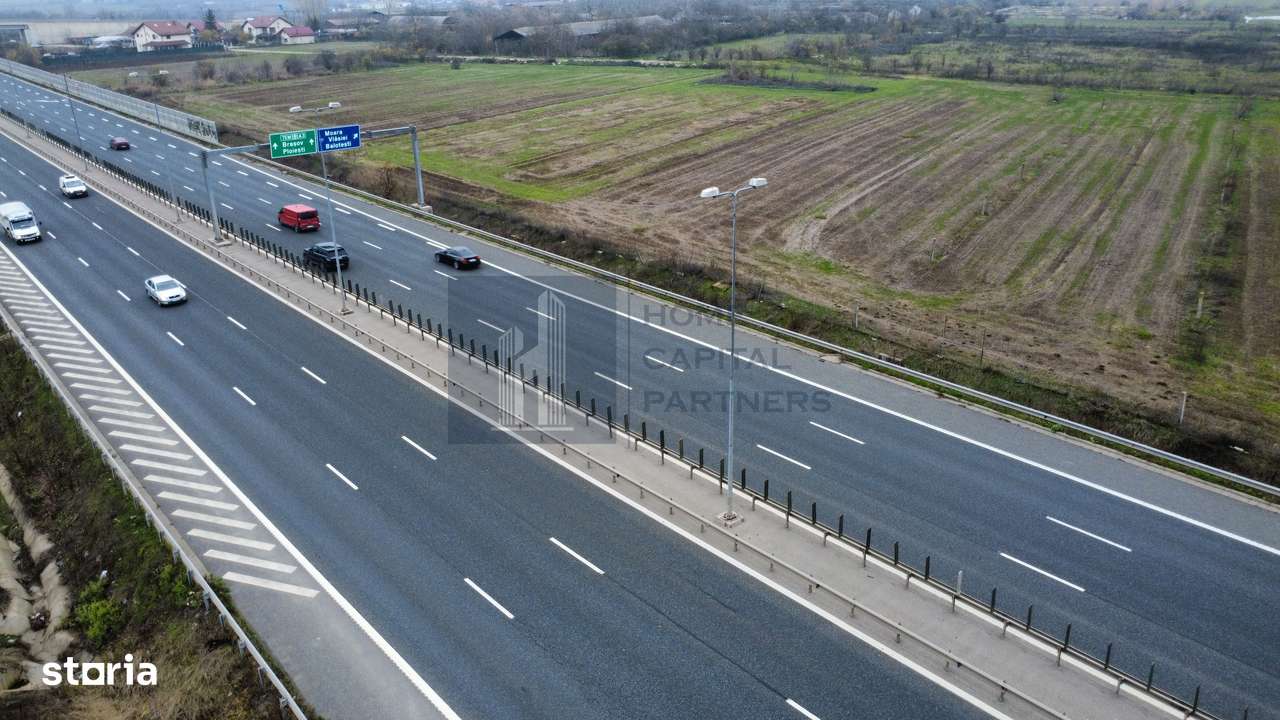 Teren 2727mp | Moara Vlasiei, Caciulati | A3 - Imagine principală: 3/4