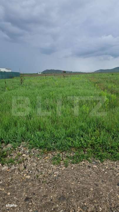 Teren pentru casa intravilan , 800 mp deschidere la drum Bod - Imagine principală: 5/6