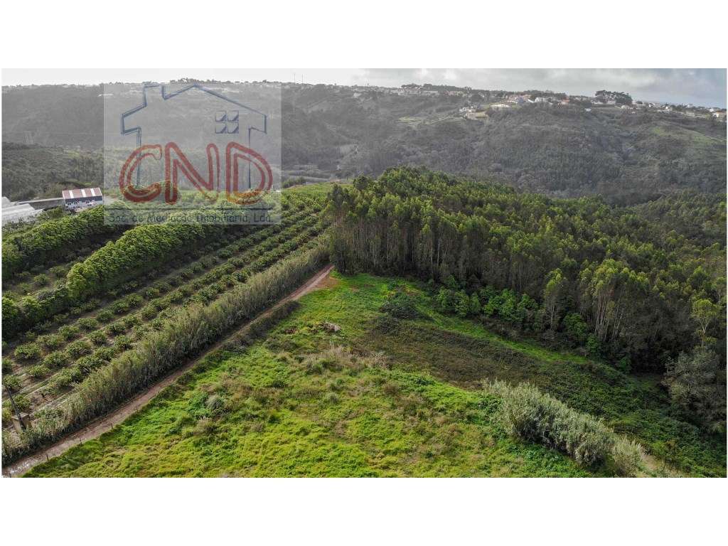 MAFRA - QUINTA, moradia de arquitetura Tradicional- piscina.-34