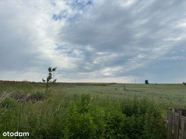 Sprzedam działkę budowlaną w Pisarzowicach - Pełny obrazek: 4/9