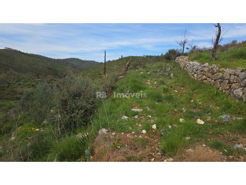 Casa de campo com mais de 1 hectare de terreno - Quebrada de Cima, ...-16