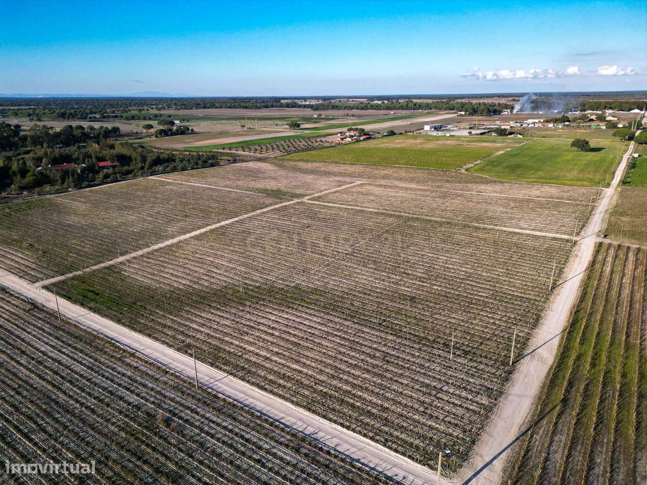 Sto. Isidro de Pegões, Palmela - Prédio Rústico com 60200 m2 com plant - Grande imagem: 4/10