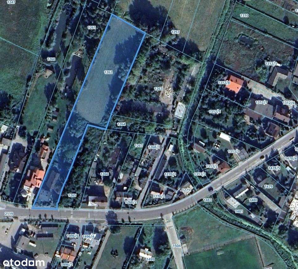 Działka 6500 m2 z domem - Raciąż / bez pośredników - Pełny obrazek: 4/4