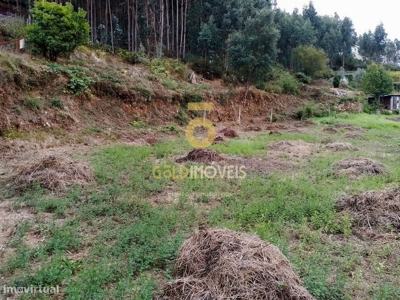 Terreno Para Construção  Venda em Raiva, Pedorido e Paraíso,Castelo de - Grande imagem: 4/13