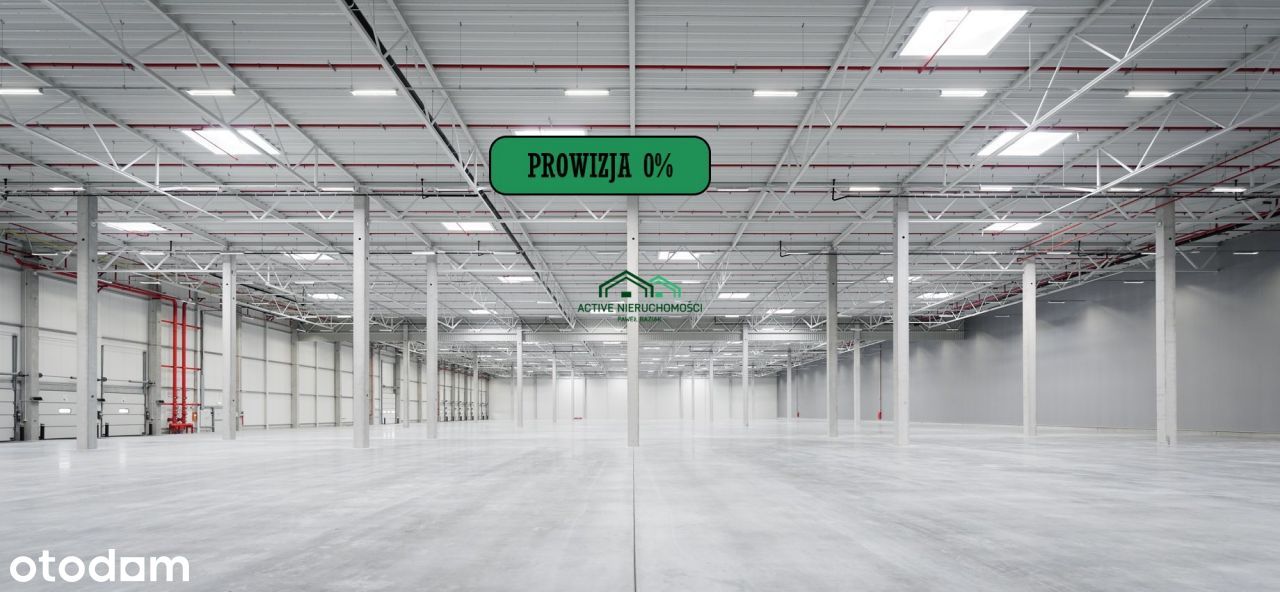 Powierzchnia magazynowa, hala, 5000m2, 0% Prowizji