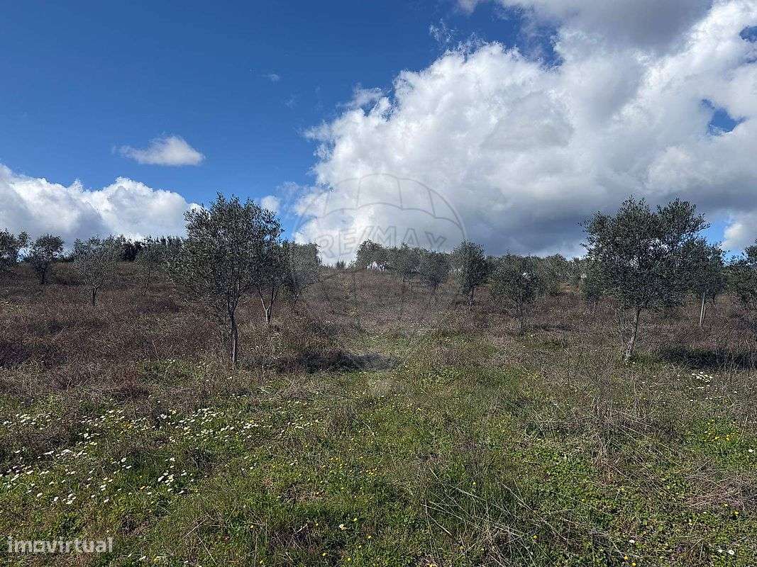 Terreno  para venda - Grande imagem: 5/6