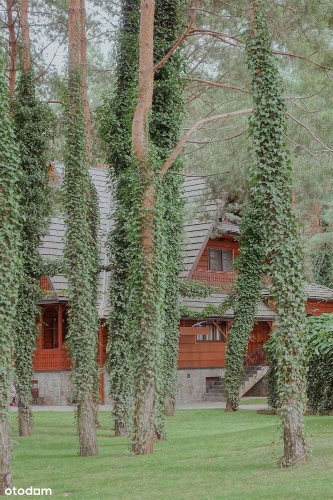 Unikatowa willa do zamieszkania lub pod usługi-2