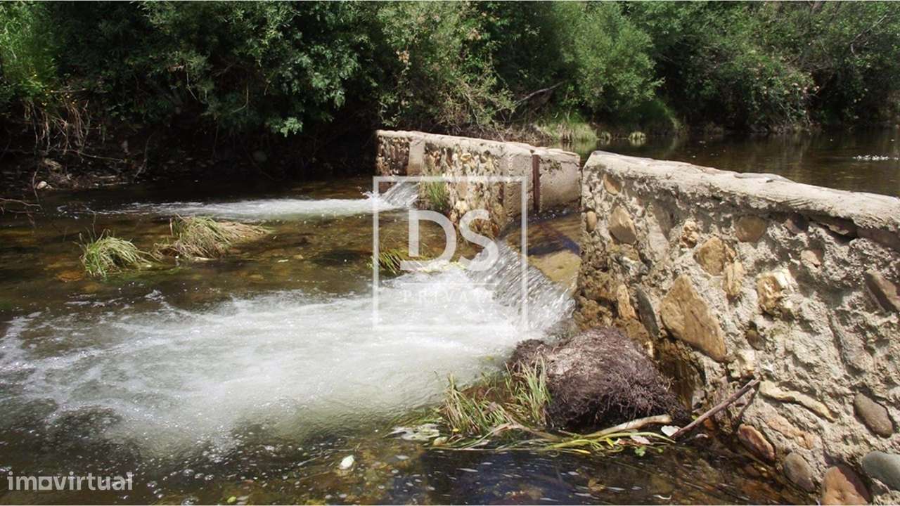 Terreno Rústico em Almaceda - Grande imagem: 5/9
