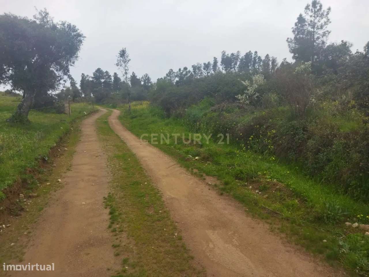 Terreno Rústico | Lousa CTB, Castelo Branco - Grande imagem: 3/10