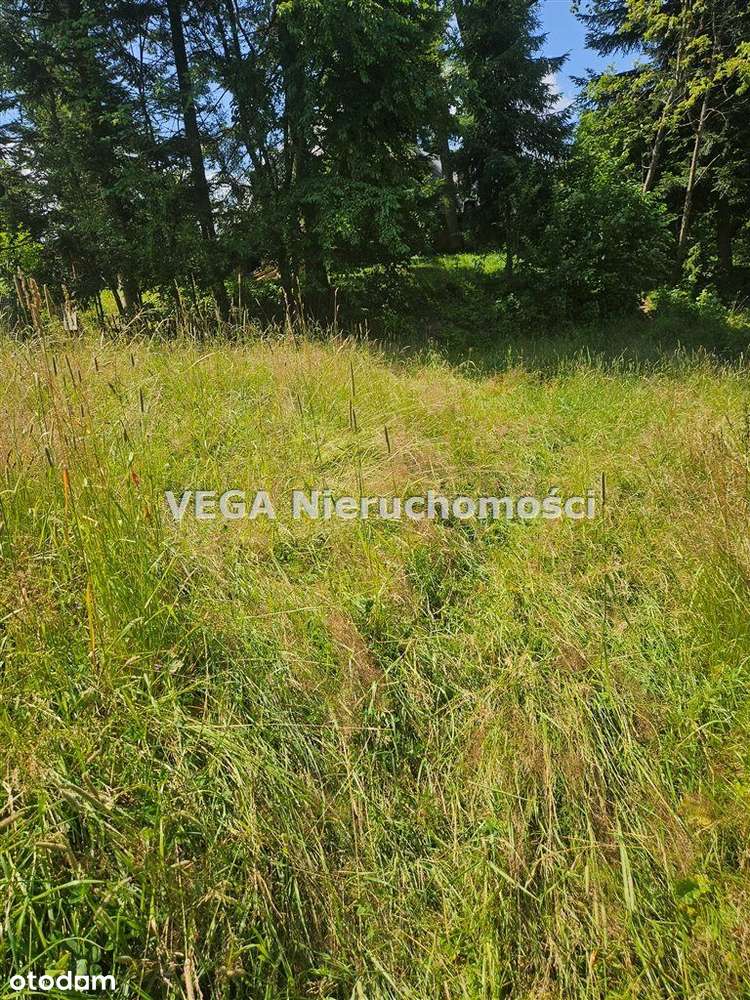 Na Sprzedaż Działka Budowlana W Zakopanem - Pełny obrazek: 5/7