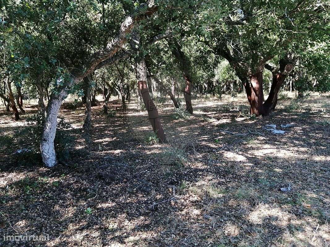 Terreno  para venda - Grande imagem: 4/10