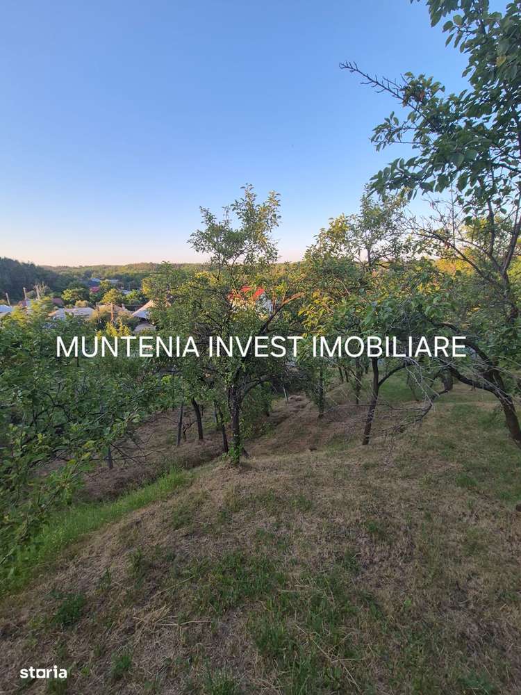 Teren 1400 mp. intravilan Albota - Imagine principală: 2/9